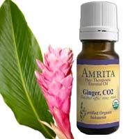 Ginger Essential Oil - Certified Organic - Grade A Therapeutic