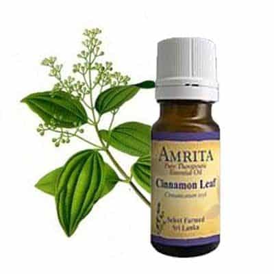 Cinnamon Leaf Essential Oil - Organic - Grade A Therapeutic - 10 ml