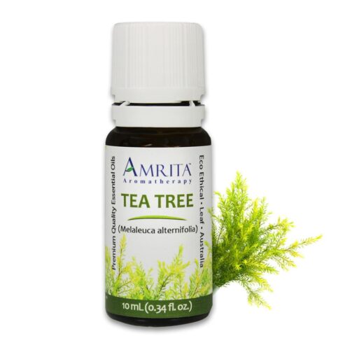 Tea Tree Organic Essential Oil - 10ml