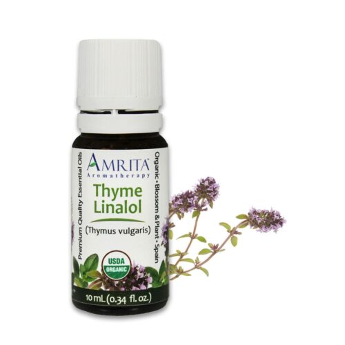 Amrita Essential Oil Thyme Linalol - Organic EO-10mL