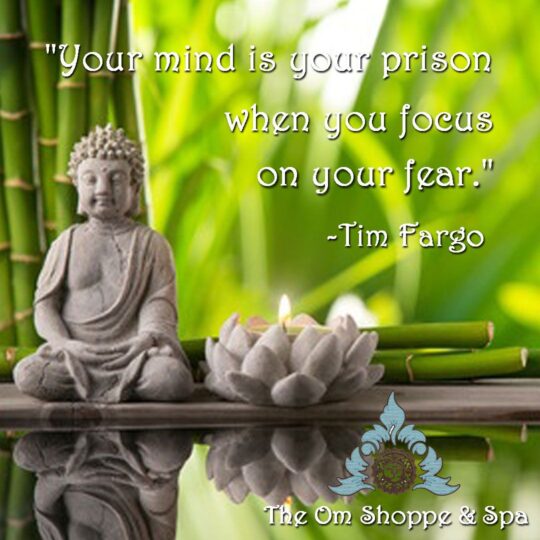 Your mind is your prison when you focus on your fear - Tim Fargo