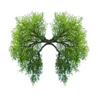 green tree lungs