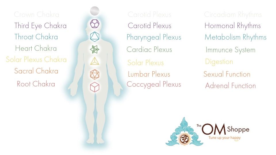 Are the chakras real? Chart of chakras and linked body systems | TheOMShoppe.com