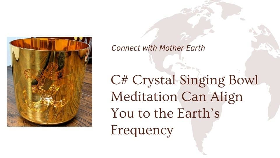 blog cover for c# singing bowl medittion