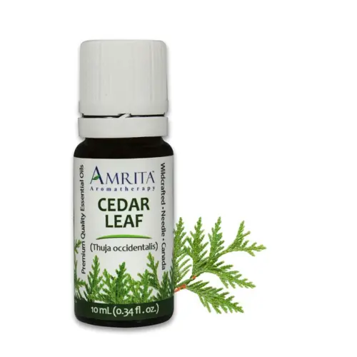 THEOMSHOPPE CSB Cedar Leaf Essential Oil – Wildcrafted – Grade A Therapeutic – 10 ml