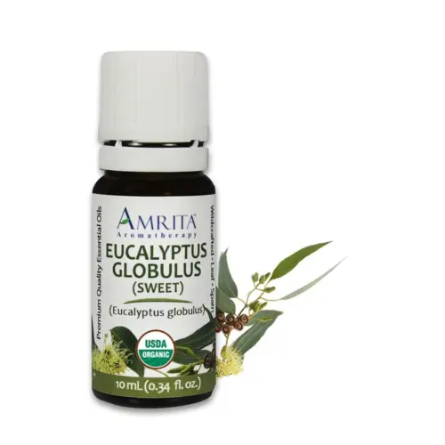THEOMSHOPPE CSB Eucalyptus Globulus Essential Oil – Certified Organic – Grade A Therapeutic – 10ml