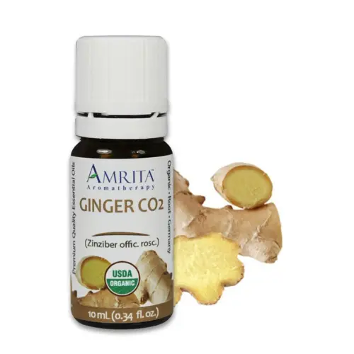 THEOMSHOPPE CSB Ginger Essential Oil – Certified Organic – Grade A Therapeutic