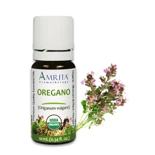THEOMSHOPPE CSB Oregano Essential Oil – Wild Crafted – Grade A Therapeutic – 10 ml