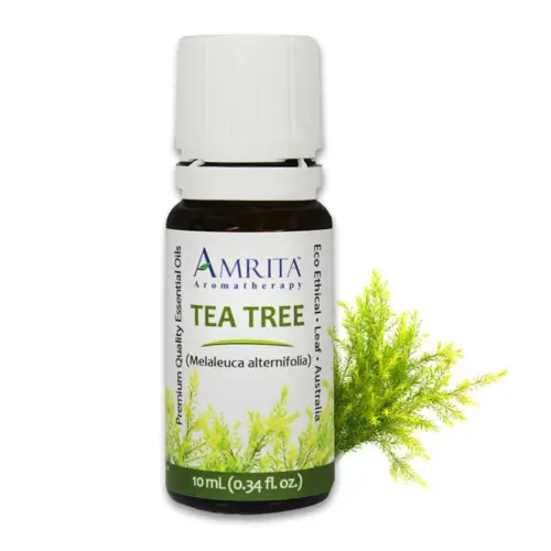 THEOMSHOPPE CSB Tea Tree – Certified Organic – Grade A Therapeutic – 10 ml
