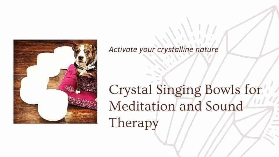 Image of dog sitting with crystal singing bowls saying activate your crystalline nature crystal singing bowls for meditaiton and sound therapy a blog by the om shoppe