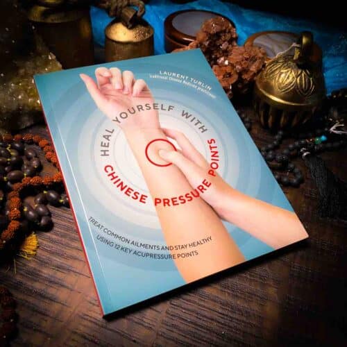 heal yourself with 12 key acupressure points book