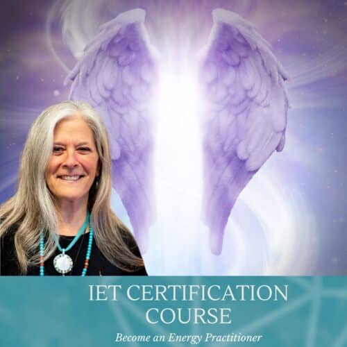 Integrated Energy Practitioner Certification Classes at The OM Shoppe In Sarasota Florida