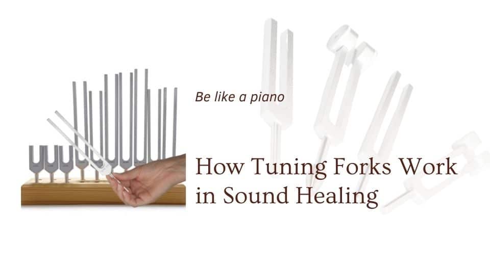 Tuning forks displayed for blog onHow Tuning Forks Work in Sound Healing