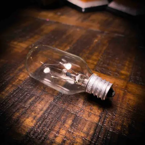 THEOMSHOPPE CSB Spare Bulb 25 watt