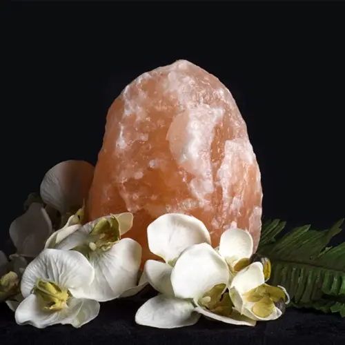 THEOMSHOPPE CSB Natural Himalayan Salt Lamp – Small – Purity