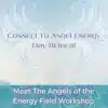THEOMSHOPPE CSB Meet The Angels Of The Energy Field Experiential Workshop®