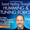 THEOMSHOPPE CSB Sacred Vibrational Frequencies with Jonathan Goldman