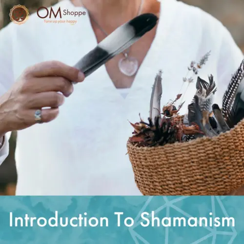 THEOMSHOPPE CSB Introduction to Shamanism