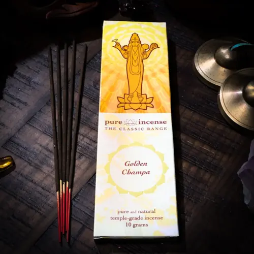 THEOMSHOPPE CSB Golden Champa Classic Incense