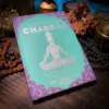 THEOMSHOPPE CSB A Little Bit of Chakras: An Introduction to Energy Healing