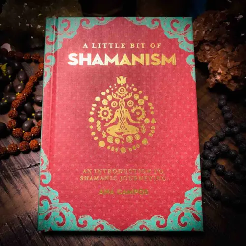 THEOMSHOPPE CSB A Little Bit of Shamanism: An Introduction to Shamanic Journeying